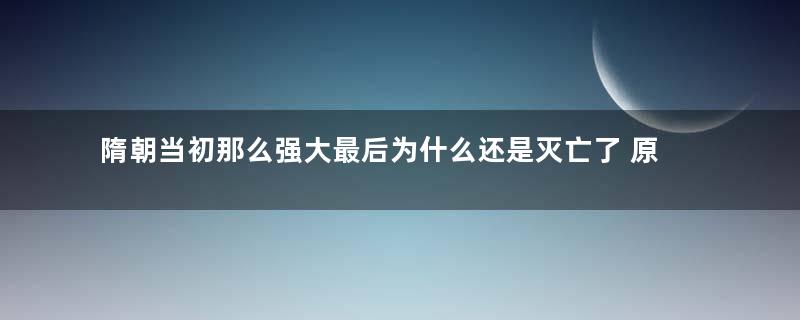 隋朝当初那么强大最后为什么还是灭亡了 原因出在杨广身上吗